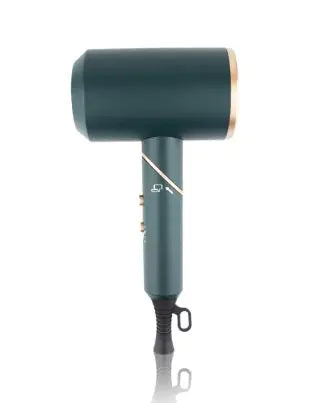 SmoothAir Pro Ionic Hair Dryer