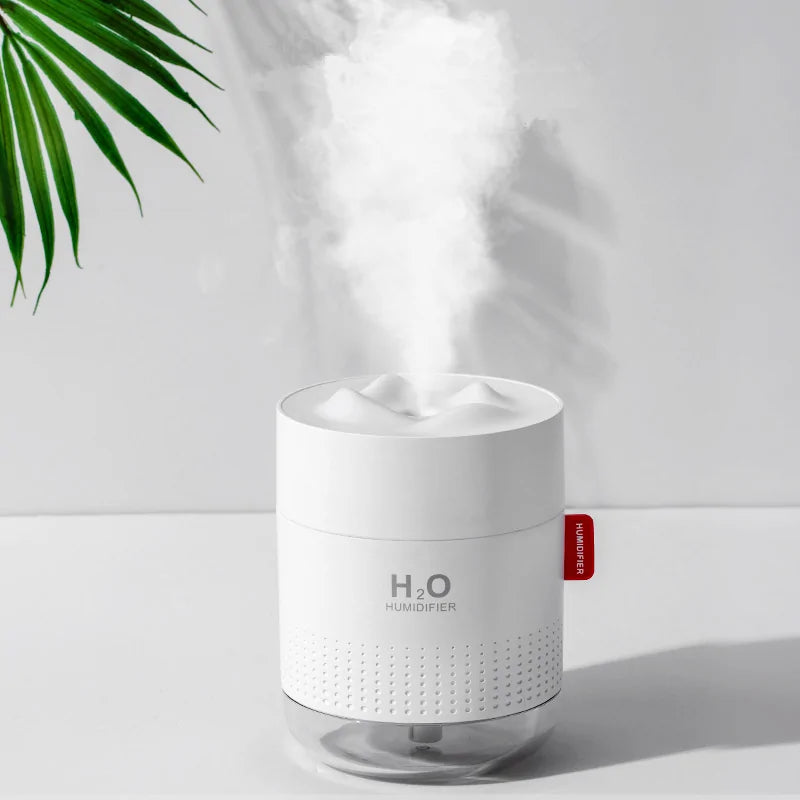 Portable Ultrasonic Humidifier - Rora's Beauty